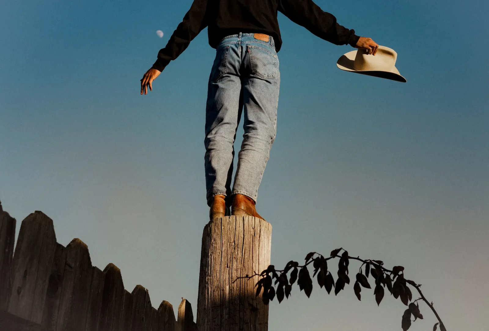 Levi'sブランドの写真(物干しにかけられたデニム)